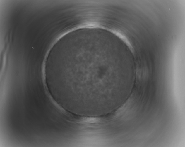 X0000089691382200707051617