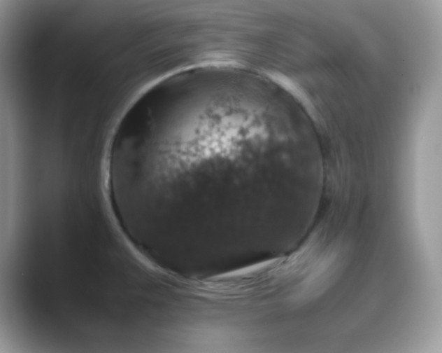 X0000089691383200707051617