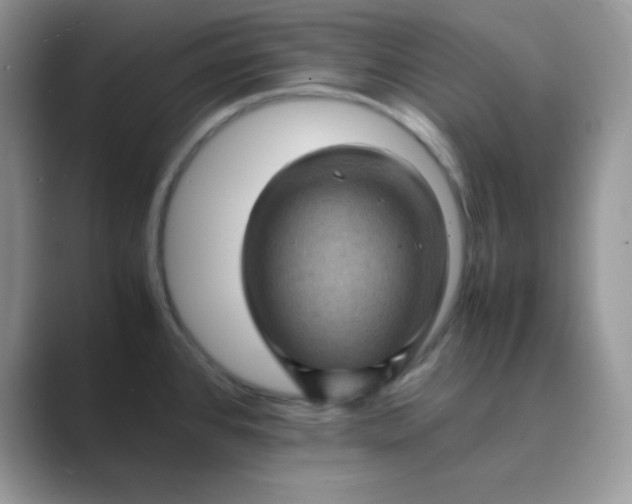 X0000089691384200707051617