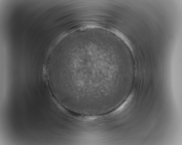 X0000089691385200707051617