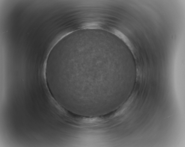 X0000089691386200707051617