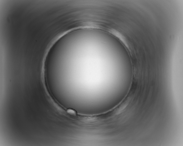 X0000089691387200707051617