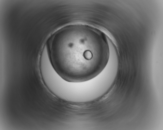 X0000089691388200707051617