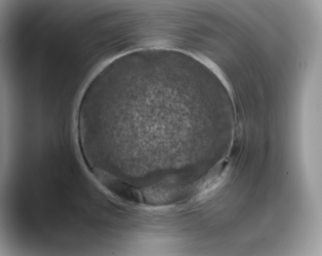 X0000089691389200707051617