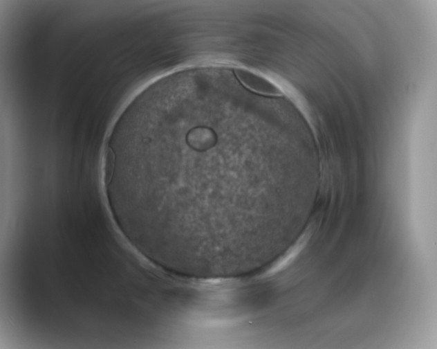 X0000089691390200707051617