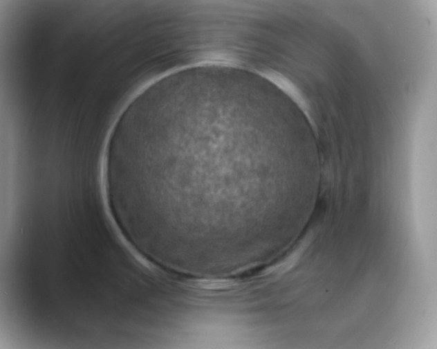 X0000089691391200707051617