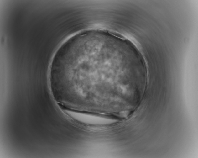 X0000089691392200707051617