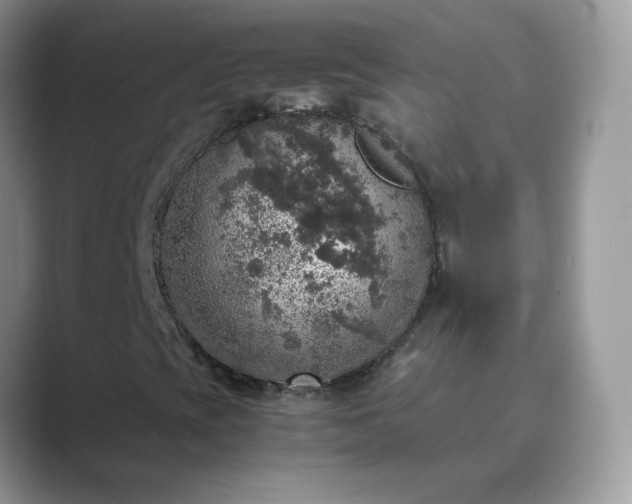 X0000089691393200707051616