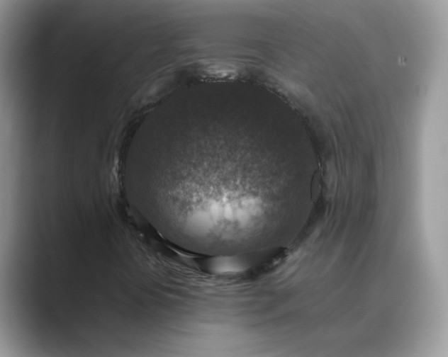 X0000089691394200707051616