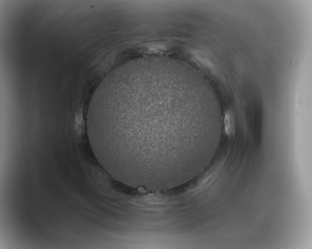 X0000089691395200707051616