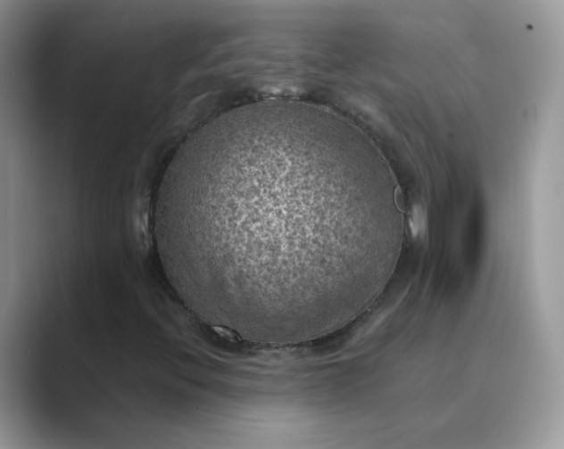 X0000089691396200707051616