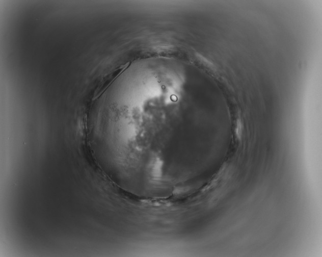 X0000089691397200707051616