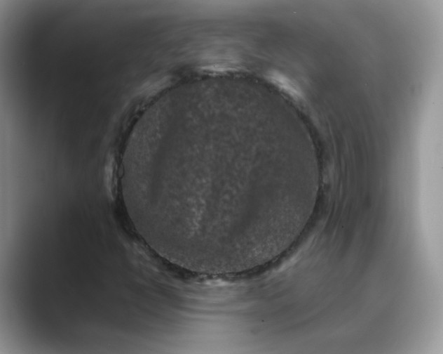 X0000089691398200707051616