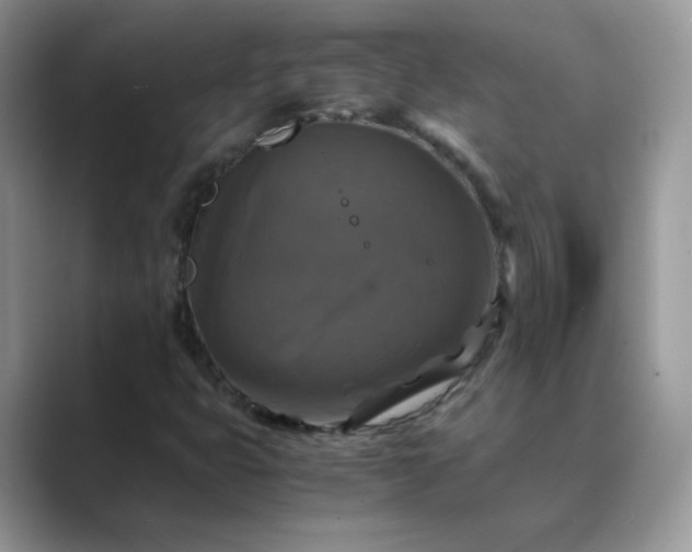 X0000089691399200707051616