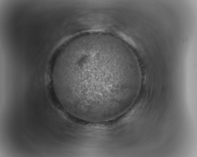 X0000089691400200707051616