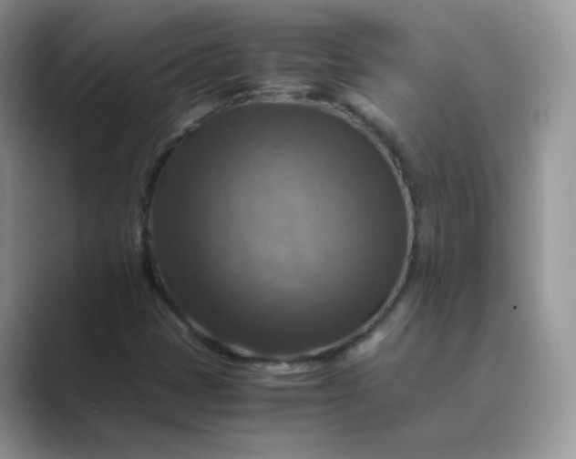 X0000089691401200707051616