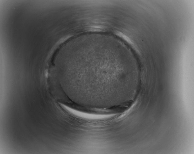 X0000089691402200707051616