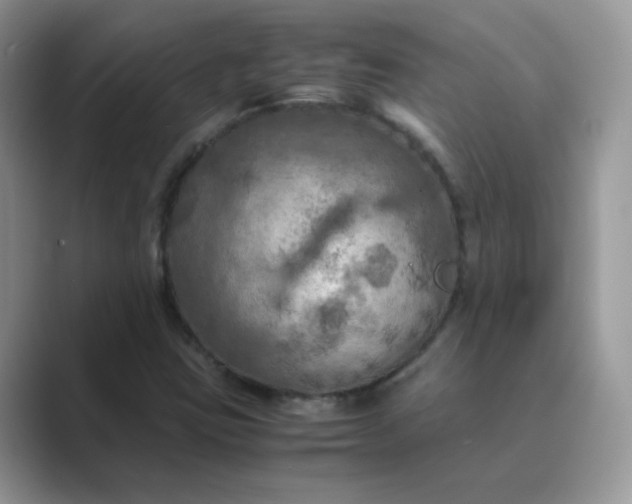 X0000089691403200707051616