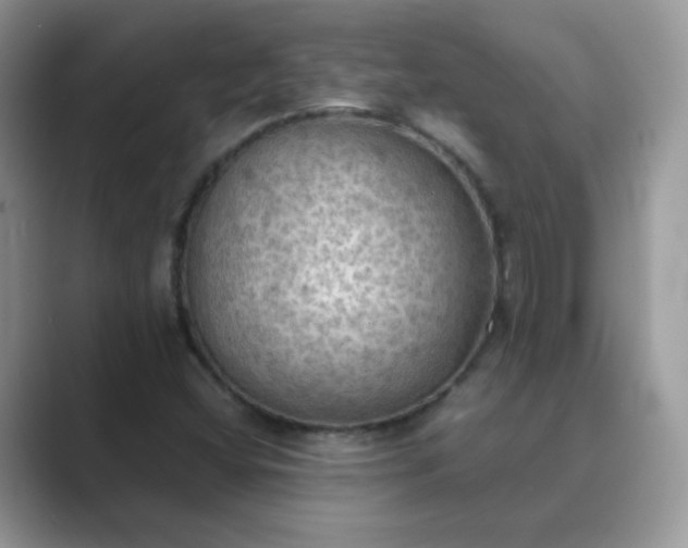 X0000089691404200707051616