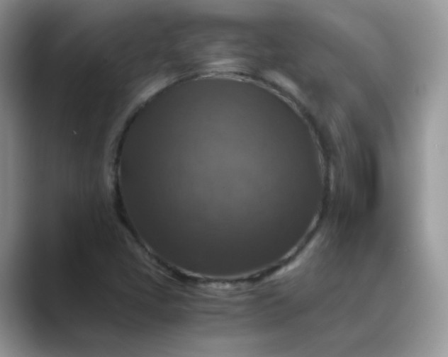 X0000089691405200707051616