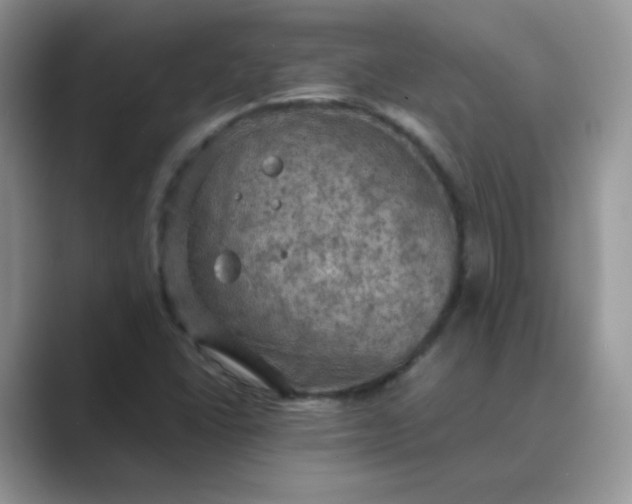 X0000089691406200707051616