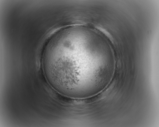 X0000089691407200707051616