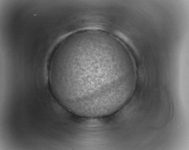 X0000089691408200707051616