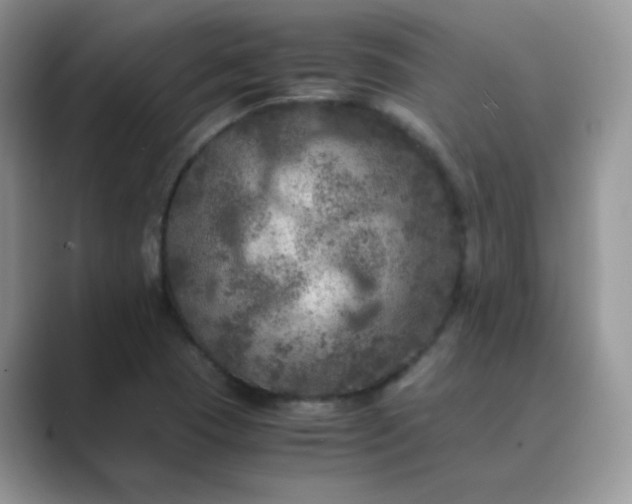 X0000089691409200707051616