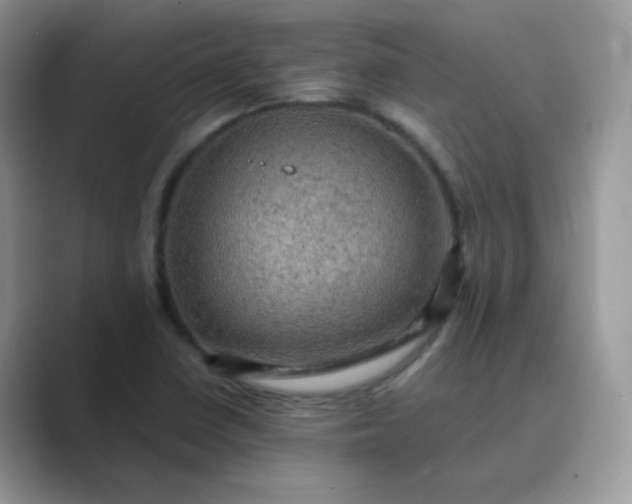 X0000089691410200707051616