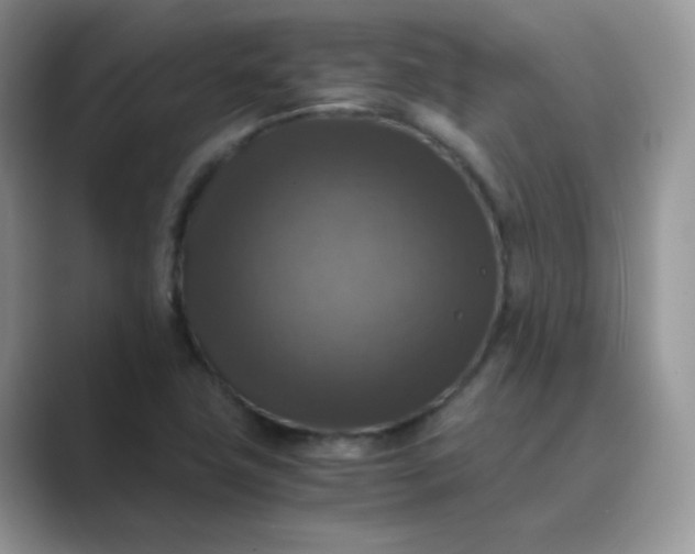 X0000089691411200707051616