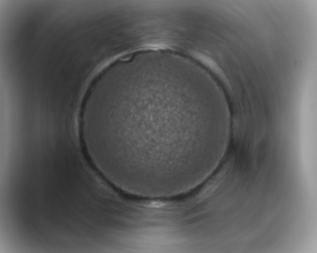 X0000089691412200707051616