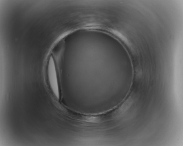 X0000089691413200707051616