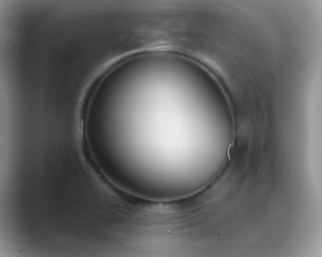 X0000089691414200707051616