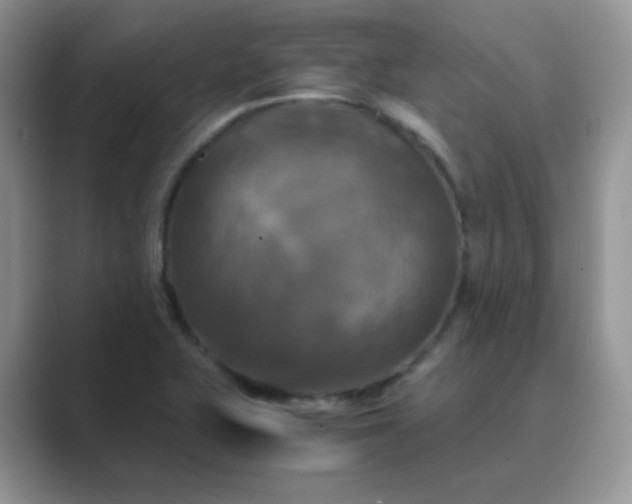 X0000089691415200707051616