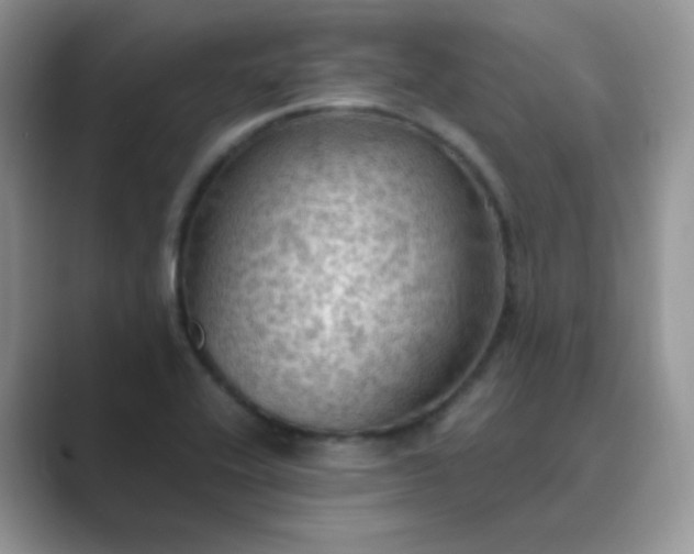 X0000089691416200707051616