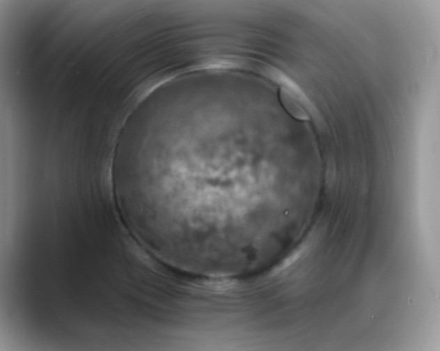 X0000089691417200707051616