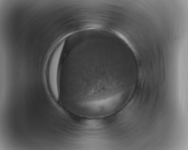 X0000089691418200707051616