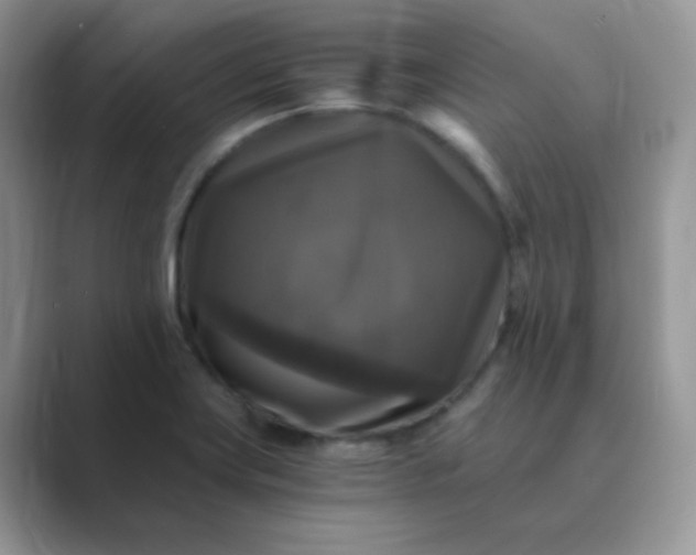 X0000089691419200707051616