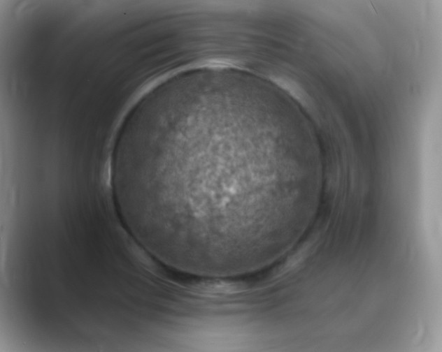 X0000089691420200707051616