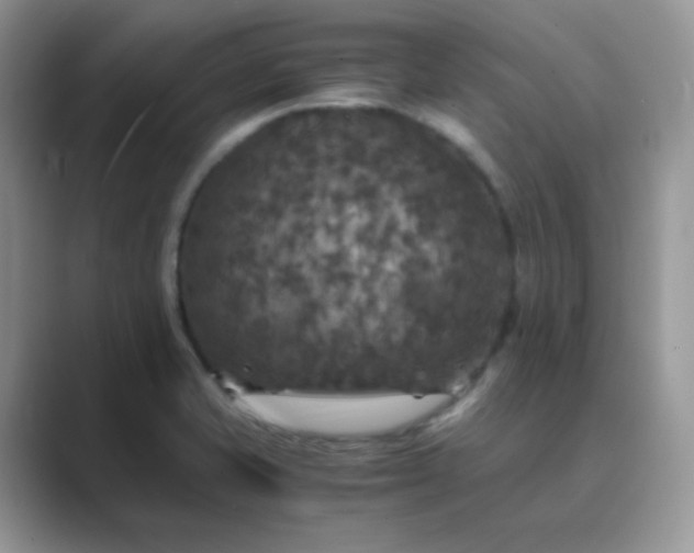 X0000089691421200707051616