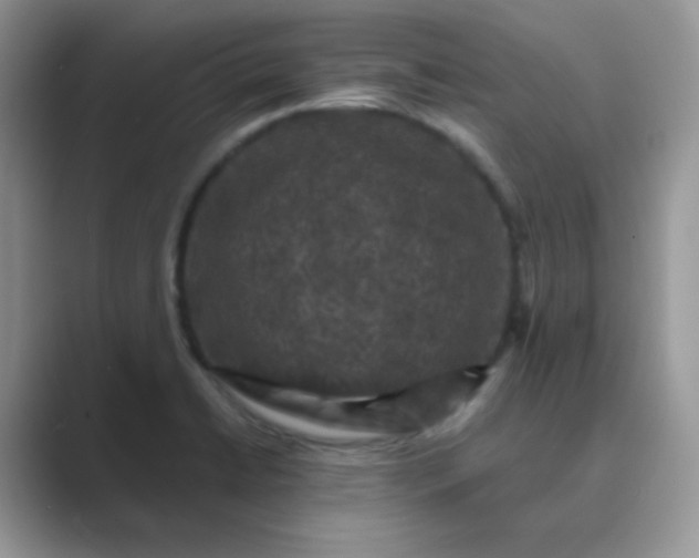 X0000089691422200707051616