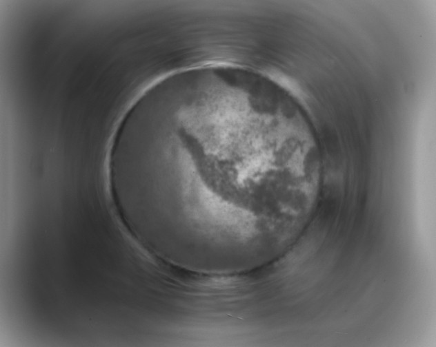 X0000089691423200707051616