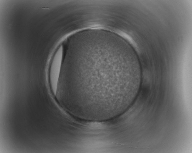 X0000089691424200707051616