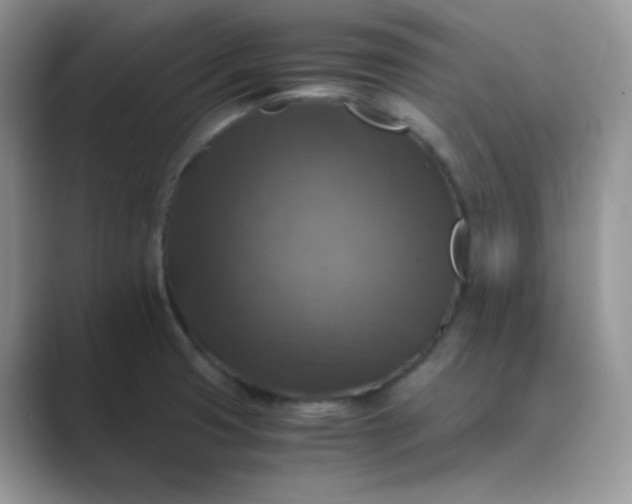 X0000089691425200707051616