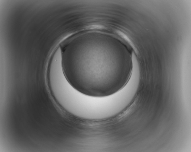 X0000089691426200707051617