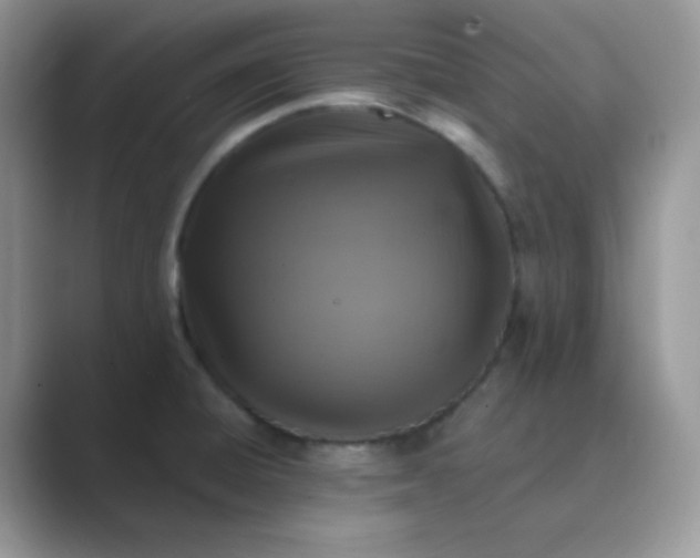 X0000089691428200707051617