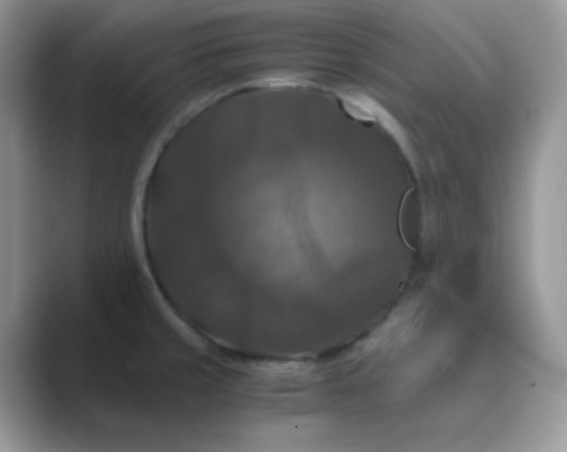 X0000089691429200707051617