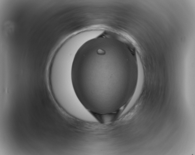 X0000089691430200707051617