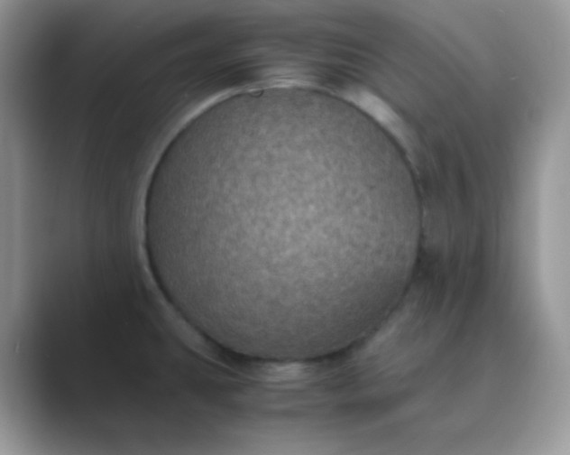 X0000089691431200707051617