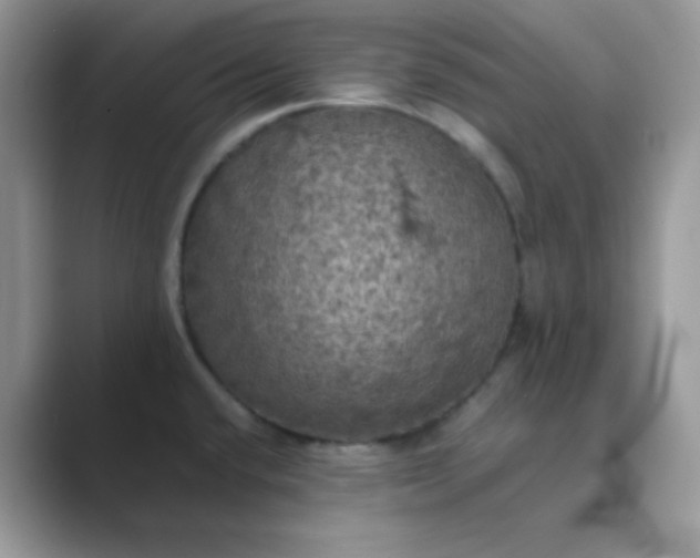 X0000089691432200707051617